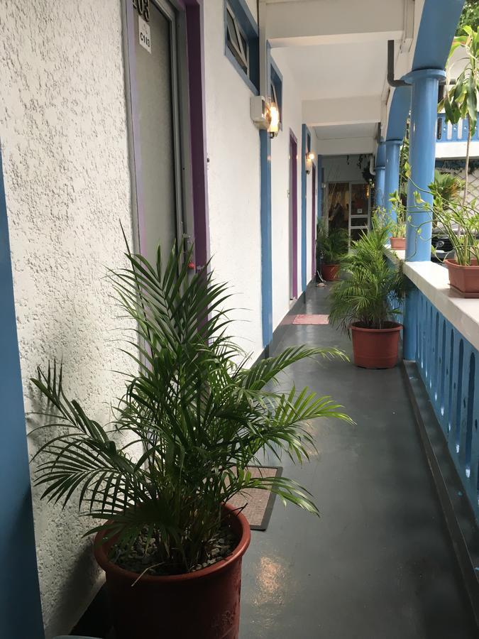 可可别墅住宿加早餐旅馆 马埃堡 外观 照片